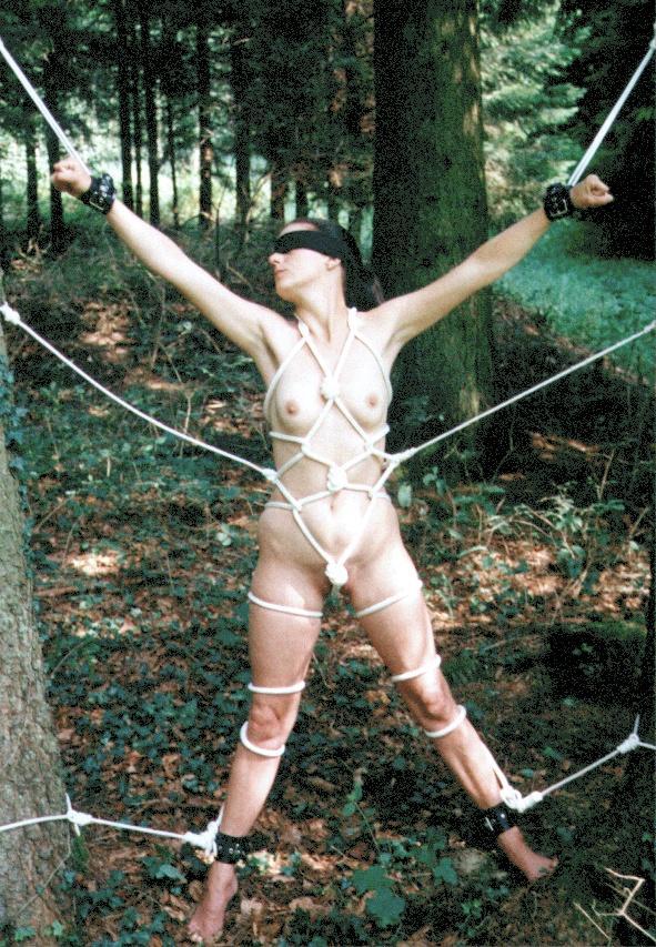 Bondage in the woods - spread between trees